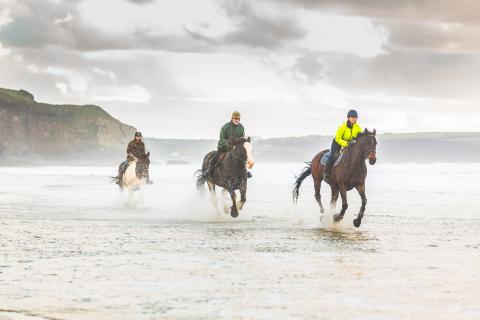 Tremenheere Riding Stables
