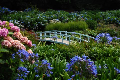 Trebah Gardens